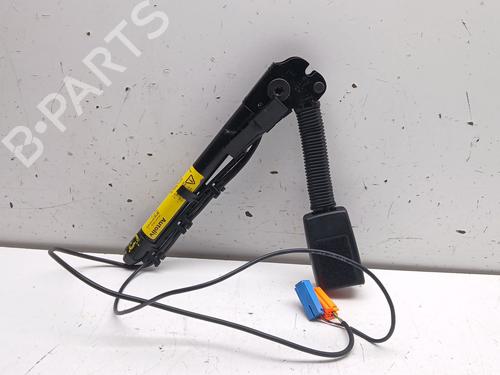 Front left belt tensioner LAND ROVER DISCOVERY IV (L319) 3.0 TD 4x4 | BP32018748C87 