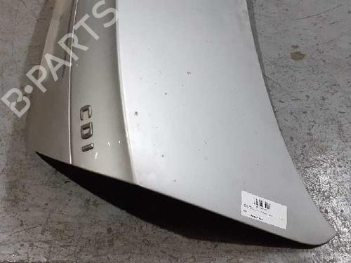 Tailgate MERCEDES-BENZ E-CLASS (W211)  | BP2413504C6 