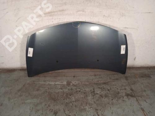Panser RENAULT CLIO III Grandtour (KR0/1_) 1.5 dCi (KR0F) (86 hp) 10162303