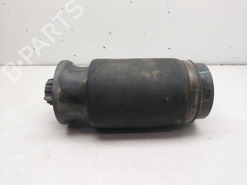 Left rear shock absorber MERCEDES-BENZ M-CLASS (W164) ML 420 CDI 4-matic (164.128) | BP25488082M18 