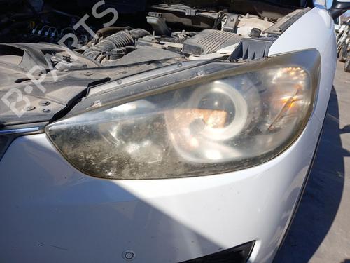 BP29909868C28 main image