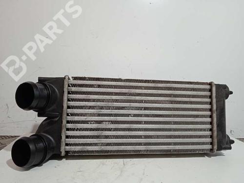 Used Intercooler Intercooler PEUGEOT 308 I (4A_, 4C_) 1.6 HDi (90 hp) 10966995 10966995