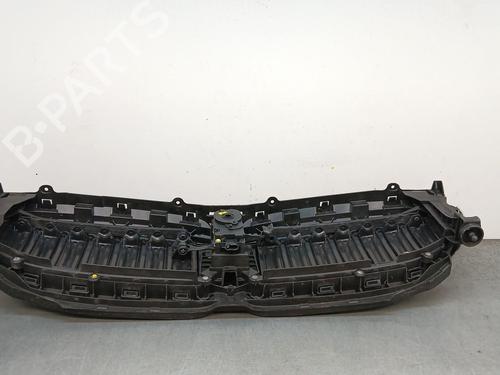 Grille BMW 5 (G30, F90) 520 d | BP29325605C40 