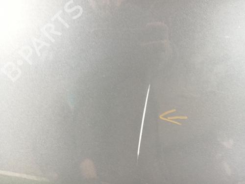 Left front door OMODA 5  | BP29284336C2