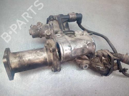 Egr RENAULT MEGANE II (BM0/1_, CM0/1_)  | BP18893177M69 