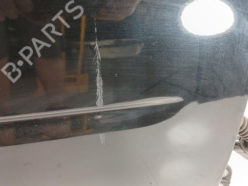 Right front door LAND ROVER FREELANDER 2 (L359) 2.2 TD4 4x4 | BP18170209C3 