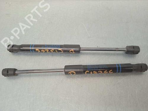 Hood lift support BMW 2 Coupe (F22, F87) M2 | BP14250338C139 