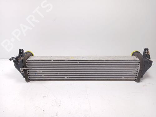 Intercooler OMODA 5 1.6 | BP31949638M30 
