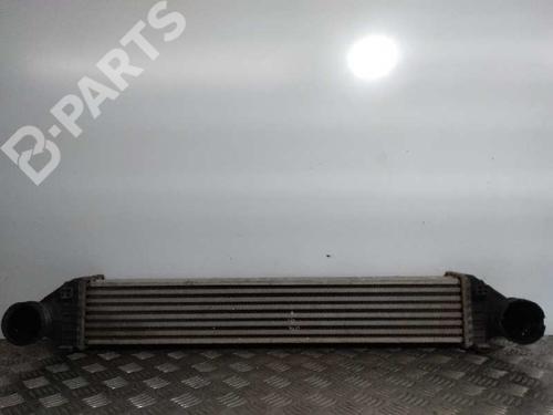 Intercooler MERCEDES-BENZ A-CLASS (W169)  | BP9749441M30 