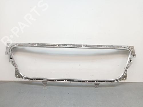 Used Grille BENTLEY FLYING SPUR (4W_) 6.0 W12 (626 hp) 30618683