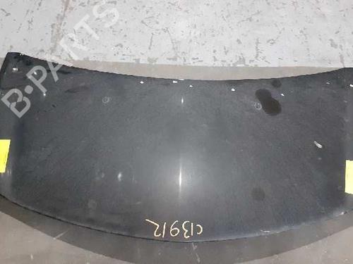 Hood RENAULT CLIO III (BR0/1, CR0/1) 1.5 dCi (C/BR0G, C/BR1G) | BP10421201C1 