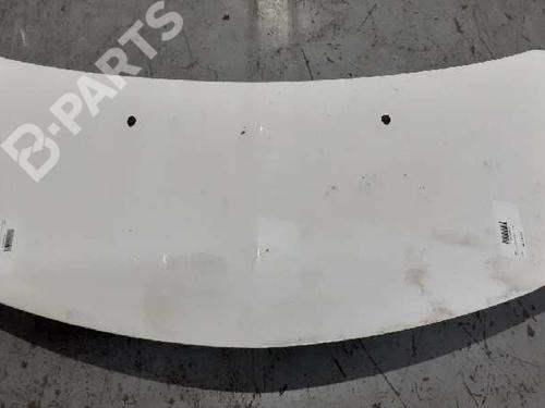Hood RENAULT CLIO III (BR0/1, CR0/1)  | BP7969186C1 