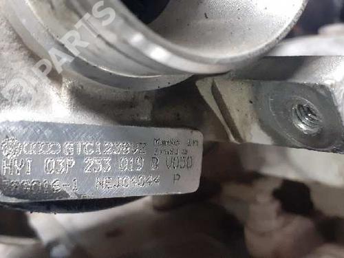 Turbocharger/Supercharger SEAT IBIZA IV (6J5, 6P1) 1.2 TDI | BP10336786M71 