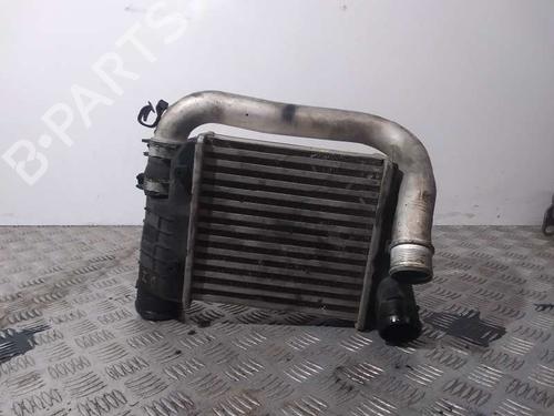 Intercooler AUDI A6 Allroad C6 (4FH) 3.0 TDI quattro (233 hp) 15765979