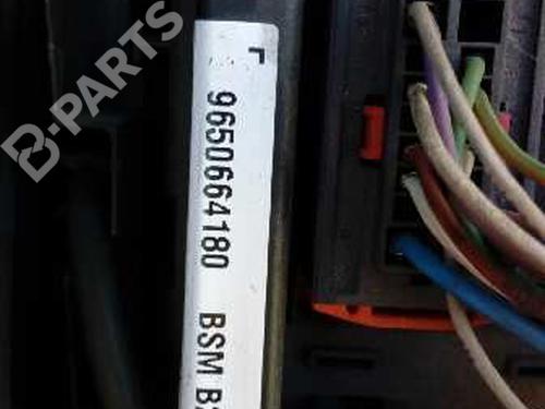 Display monitor PEUGEOT 206 Hatchback (2A/C) 1.4 HDi eco 70 | BP2423380C48  - Image 33