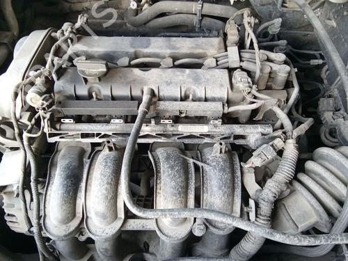 Used Engine Engine 38255331 38255331