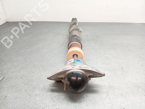 Right rear shock absorber OMODA 5  | BP34395982M19  - Image 5
