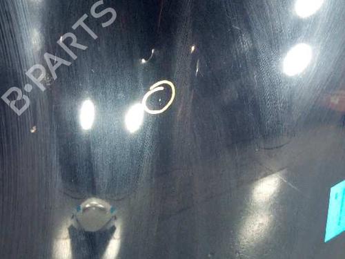 Hood JAGUAR S-TYPE II (X200) 3.0 V6 | BP16223983C1 