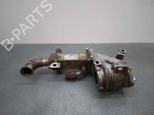 Egr RENAULT SCÉNIC II (JM0/1_) 1.9 dCi (JM0G, JM12, JM1G, JM2C) | BP17433590M69 