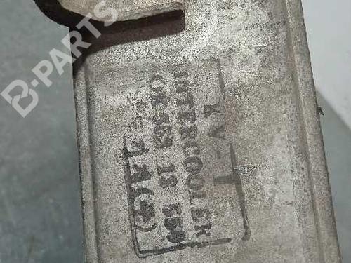 Intercooler KIA CARNIVAL II (GQ) 2.9 CRDi | BP12194829M30 