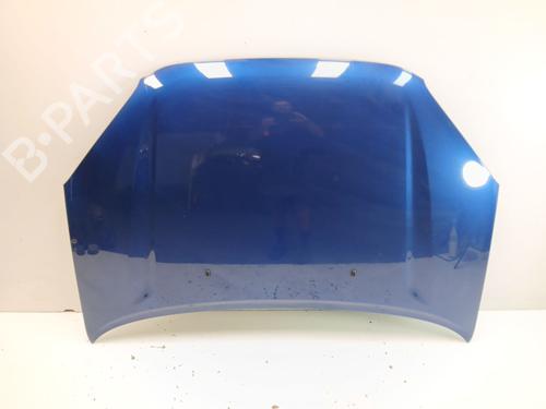 hood-toyota-rav-4-ii-_a2_-2000-2001-2002-2003-2004-2005-38311396 main image