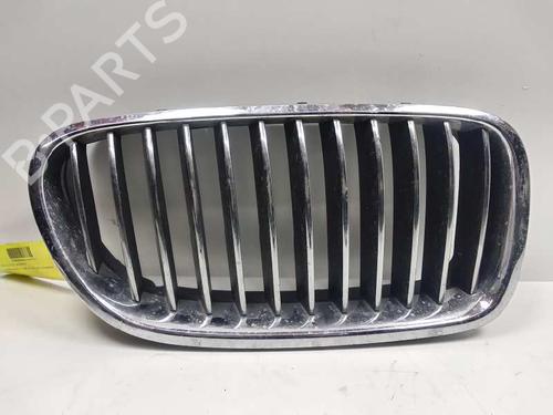 Grille BMW 5 (F10)  | BP17001958C40 