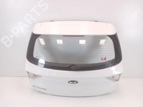 Used Tailgate Tailgate 23973424 23973424