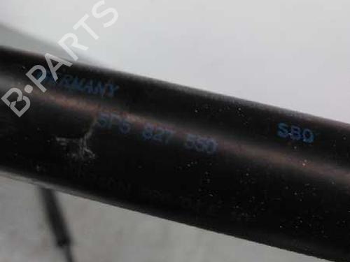 Tailgate lift support SEAT TOLEDO III (5P2)  | BP14250076C138 