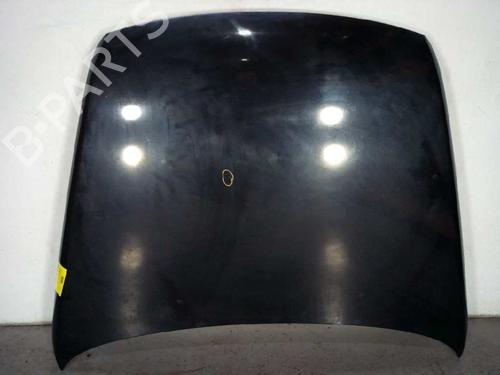 Hood VW TOUAREG (7LA, 7L6, 7L7) 2.5 R5 TDI | BP10552115C1 
