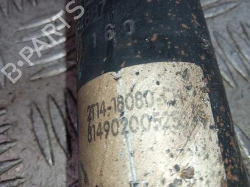 Left rear shock absorber FORD TRANSIT CONNECT (P65_, P70_, P80_)  | BP13887555M18 
