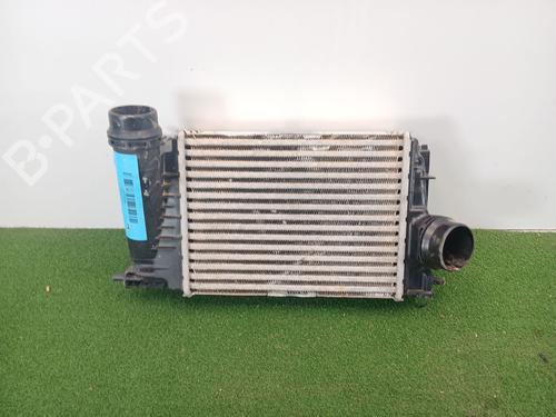 Used Intercooler NISSAN QASHQAI II SUV (J11, J11_) 1.3 DIG-T (140 hp) 23951689