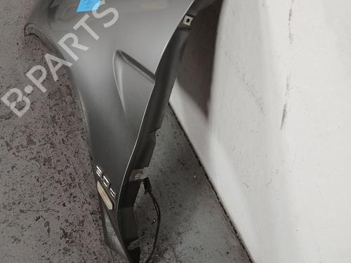 Left front fenders BMW X5 (E53)  | BP18786629C41 