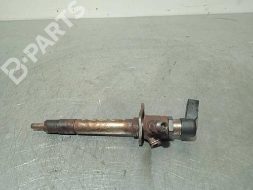 Injector LAND ROVER RANGE ROVER SPORT I (L320) 2.7 D 4x4 | BP6888988M100 