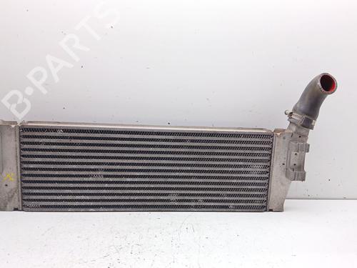 Ladeluftkühler für RENAULT MEGANE II (BM0/1_, CM0/1_) 2.0 16V Turbo (163 hp) 32983145