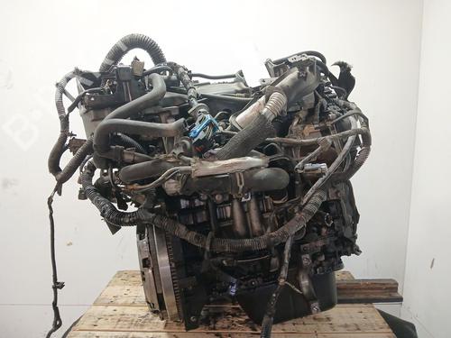 Używane Silnik FORD FOCUS III Saloon 1.6 TDCi (115 hp) 28806042
