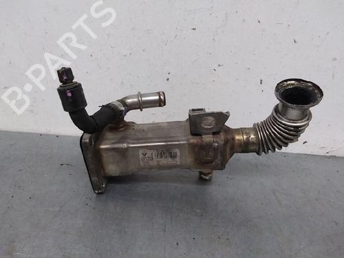Used Egr RENAULT SCÉNIC II (JM0/1_) [2003-2010]  14250767