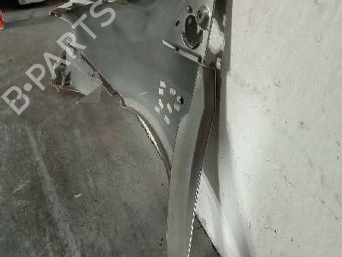 Right front fenders LANCIA PHEDRA (179_) 2.2 JTD (179AXC1A) | BP9634065C42 