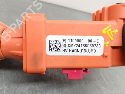 Cable TESLA MODEL 3 (5YJ3) | BP30969191E12