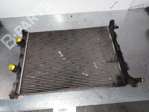 Køler RENAULT MEGANE II (BM0/1_, CM0/1_) [2001-2012]  6139397