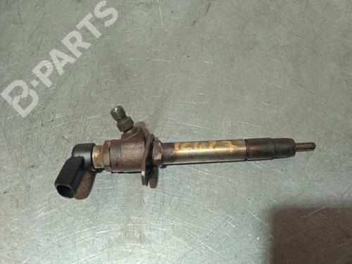 Injector LAND ROVER RANGE ROVER SPORT I (L320) 2.7 D 4x4 | BP6888992M100 