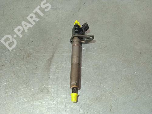 Injector JAGUAR XF I (X250) 3.0 D | BP9509422M100 