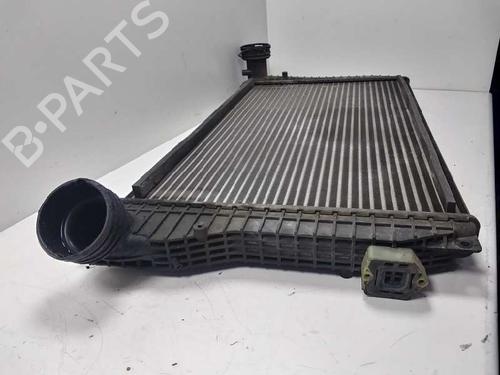 Intercooler SEAT LEON (1M1)  | BP18002325M30 