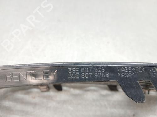 Grille BENTLEY FLYING SPUR (ZG2_) 6.0 W12 TSI 4WD (ZG21BB) | BP30618679C40 