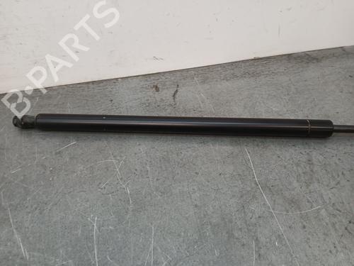 Tailgate lift support LAND ROVER RANGE ROVER SPORT I (L320) 3.0 D 4x4 | BP25437216C138 