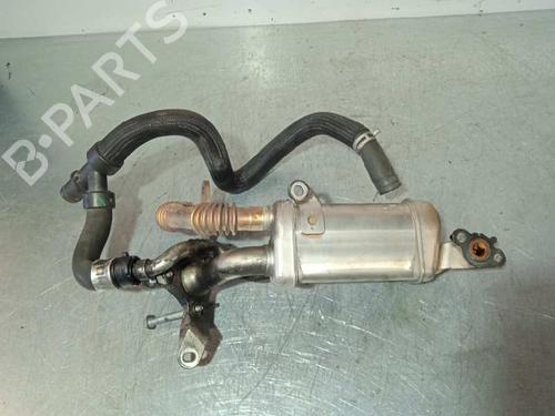 Egr RENAULT KANGOO / GRAND KANGOO II (KW0/1_)  | BP14250167M69 