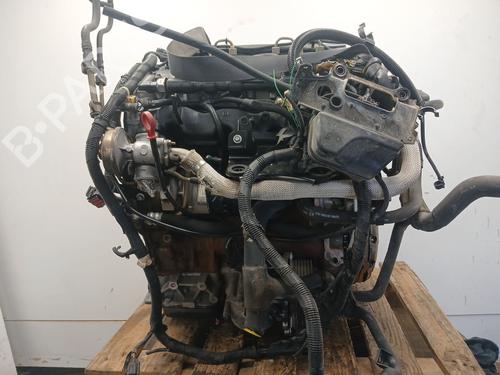 Engine JAGUAR X-TYPE I (X400) 2.0 D | BP13520670M1 - Image 4