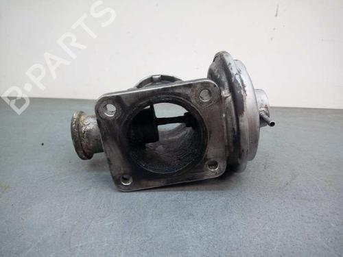 Egr BMW 3 (E46) 320 d | BP19312805M69 