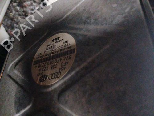 Elektronisk modul AUDI A6 C6 (4F2) 2.0 TDI (140 hp) 28517917