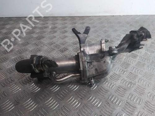 Used Egr RENAULT SCÉNIC II (JM0/1_) [2003-2010]  14250884