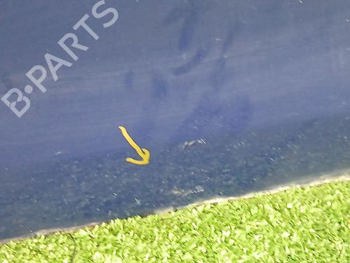 Right rear door PEUGEOT 308 II (LB_, LP_, LW_, LH_, L3_) 1.5 BlueHDi 130 | BP23532012C5